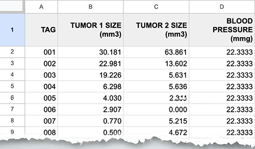 Spreadsheet example